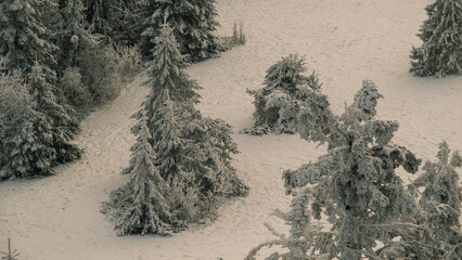Winter in Gorce Mountains, Lubań, Poland, Europe