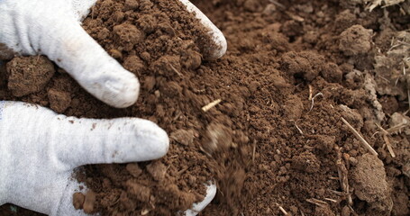 farmer examining soil in hands agriculture