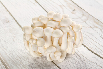 Japanese Shimeji mushroom for cooking