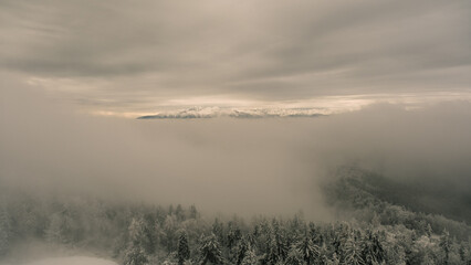 Panoramic View, Winter in Gorce Mountains, Lubań, Poland, Europe