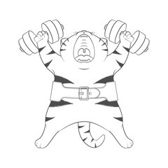 Black and white illustration with cute striped cat athlete with dumbbells and athletic belt. Isolated vector object on white background.