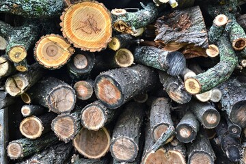 Firewood lying chopped in a barn