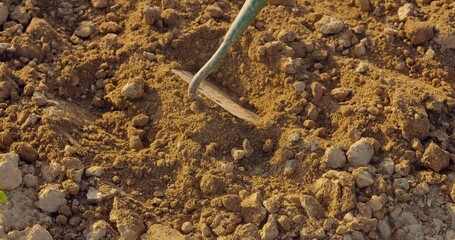Agricultural Tool Is Hoeing Field