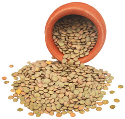 Green lentils