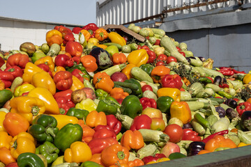Heap of Mix Vegetables and fruits at harvest time. Organic bio waste in a huge container, Organic...