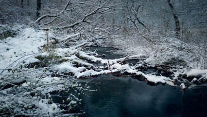  creek , Winterwonderland aerial forest in snow , Sachsenwald, germany