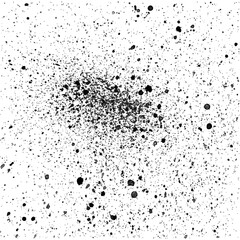 Detailed black particles on white background.
