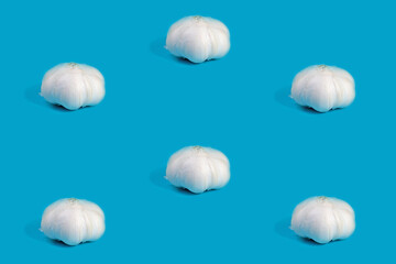 Knoblauch, Allium sativum, vor blauem Hintergrund