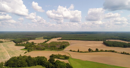 aerial view of forest in summer