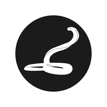 Poisonous Snake icon