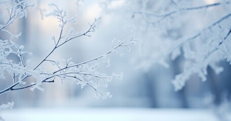 twigs, tree branches and snow covering the ground winter background
