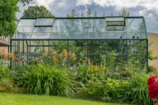 Greenhouse, glasshouse in the garden yard near the villa cottage. Green house for planting growing greens vegetables or flowers. Beautiful landscaping of the villa cottage garden.