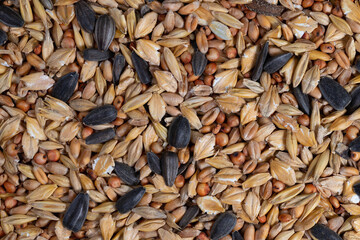 Winterstreufutter in einer Nahaufnahme