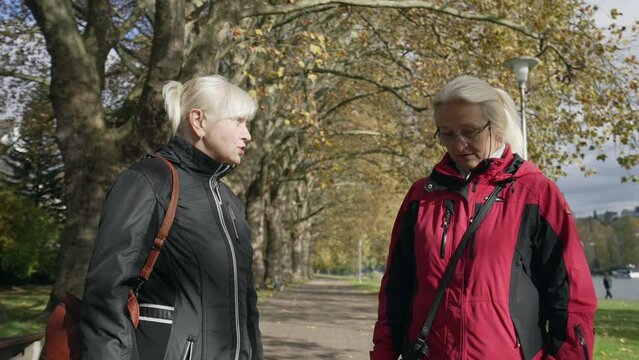 Senior Caucasian Sisters in Autumn Park Discussing and Arguing. Granny pissed off. Disputing, argument, controversy