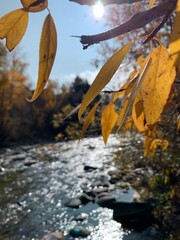 Fototapeta na wymiar River in Autumn