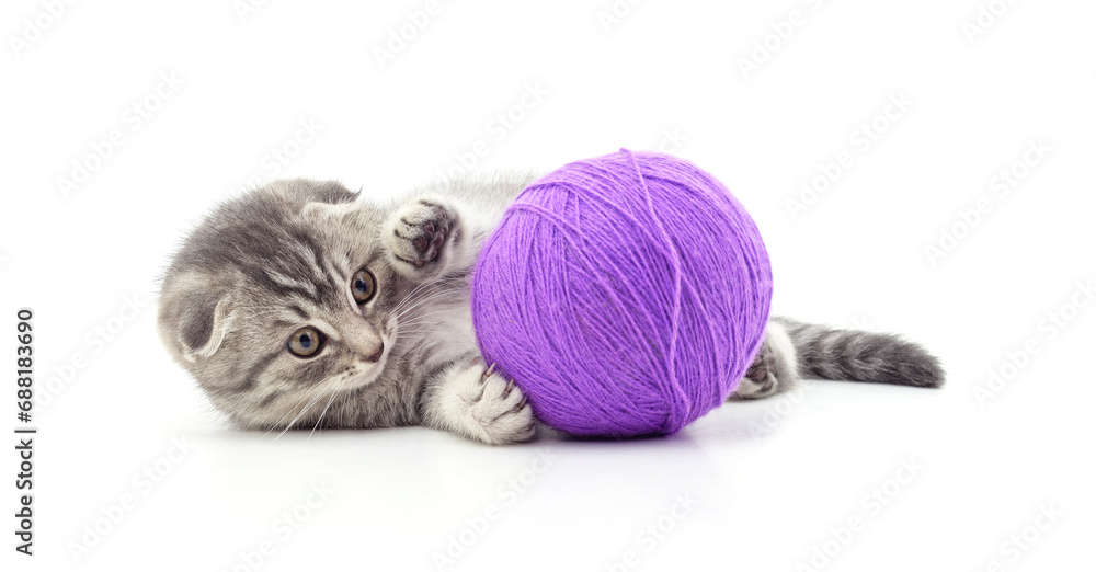 Wall mural cat with ball of yarn.