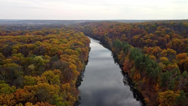 Autumn aerial tilt down view on river with colorful forest on riverbanks. Near Cossack mountain on Siverskyi Donets River in Ukraine