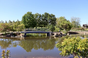 Fototapeta na wymiar The wood bridge at the lake in the park.