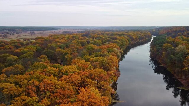 Autumn aerial forward flight above river with colorful forest on riverbanks. Cossack mountain, Koropove village on Siverskyi Donets River in Ukraine