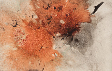 Black and red Ink blot and watercolor pour flow color on wet beige paper background.