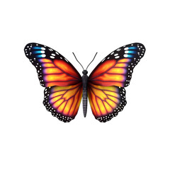 Colorful butterflies isolated on transparent background