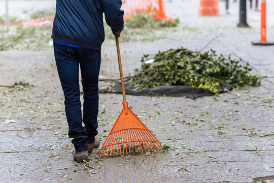 Person sweeping leaves and branches of a tree with a rake in the streets of the historic center of Puebla