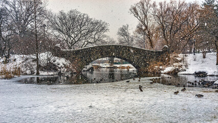 Gapstow Bridge in Central Park,snow storm