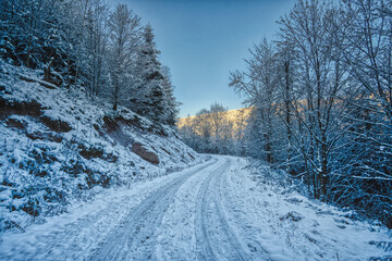 snow covered road