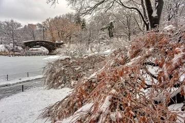 Papier Peint photo Pont de Gapstow Gapstow Bridge in Central Park,snow storm