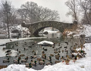 Photo sur Plexiglas Pont de Gapstow Gapstow Bridge in Central Park,snow storm