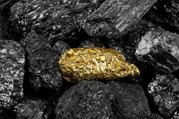 Golden nugget on black coal, close up. Piece of gold among the coal.