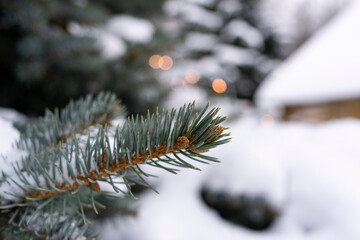 Naklejka na ściany i meble Christams tree in snow near the log cabin