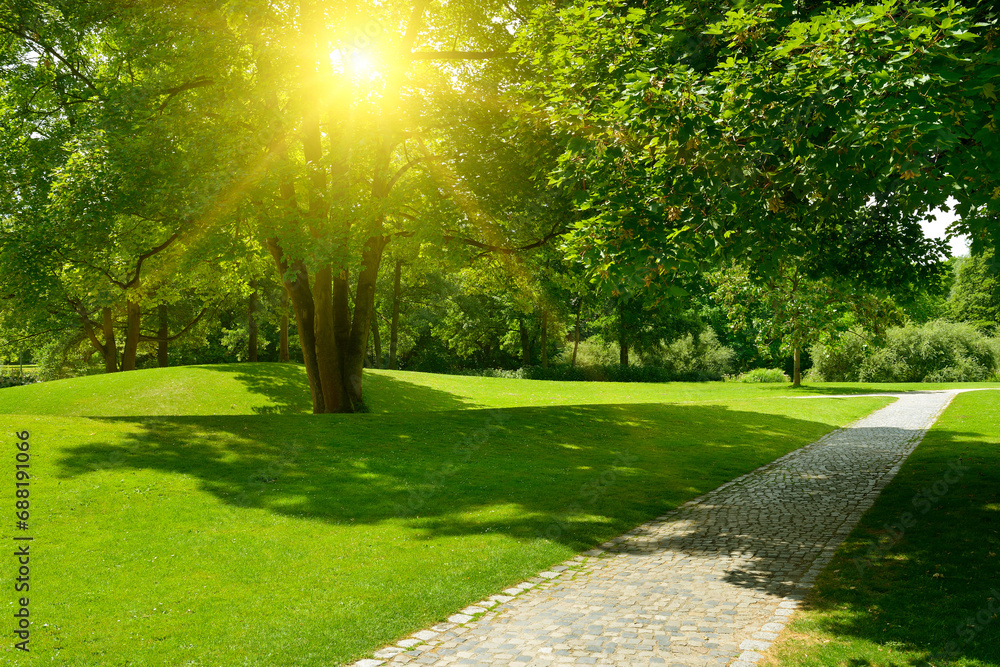 Canvas Prints Bright morning sun illuminates park with meadow