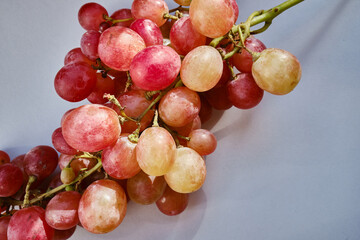 Bunch of grapes on a light background. Hand-picked ripe grapes close-up. Red grapes. Fresh juicy berries. Healthy organic sweet fruits. Delicious autumn natural dessert. Vitamin diet