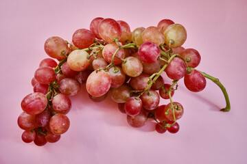 Bunch of grapes on a light background. Hand-picked ripe grapes close-up. Red grapes. Fresh juicy berries. Healthy organic sweet fruits. Delicious autumn natural dessert. Vitamin diet