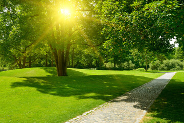 Fototapeta na wymiar Bright morning sun illuminates park with meadow