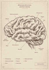 Medical vintage poster with brain vector - obrazy, fototapety, plakaty