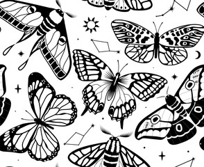 Monochrome butterflies seamless pattern vector