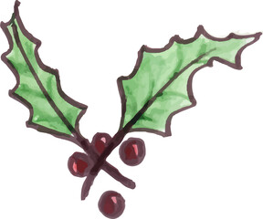 Fototapeta premium christmas holly leaves and berries
