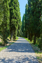Memorial at Solferino, where the International Red Cross was founded. Lombardy, Italy. 