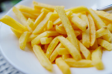 A plate of french fries. favorite fast food food.