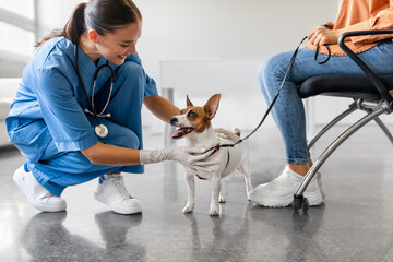 Vet greets excited dog at clinic visit
