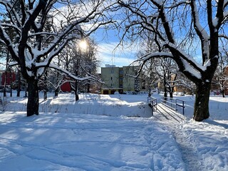 Naklejka premium urban park in winter