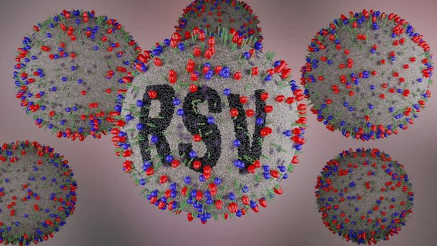 Illustration of Respiratory Syncytial Virus or RSV