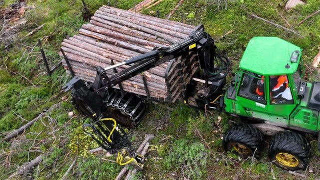 Skidder takes cut logs with jaws from ground at forestry