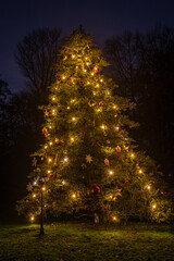 Large decorated and lit Christmas tree at night time