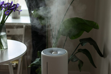 Ultrasonic diffuser, air purifier, humidifier releases stream of cold steam room for proper...