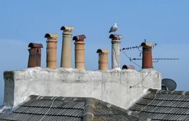 Old chimney pots in a row with cowels on roof