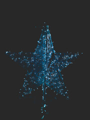 christmas tree decoration © Pati Goldberg