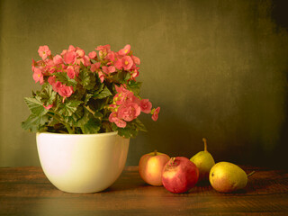 Still life with Begonia flower and fruits apples and pomegranates. - 688219200